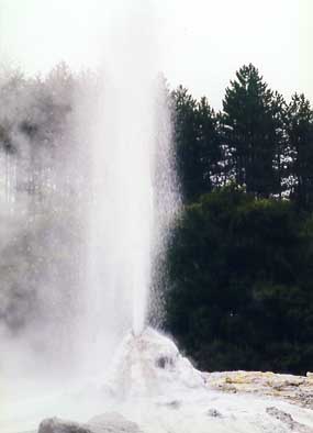 lady knox geysir